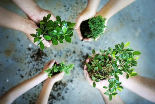 Giá trị cốt lõi